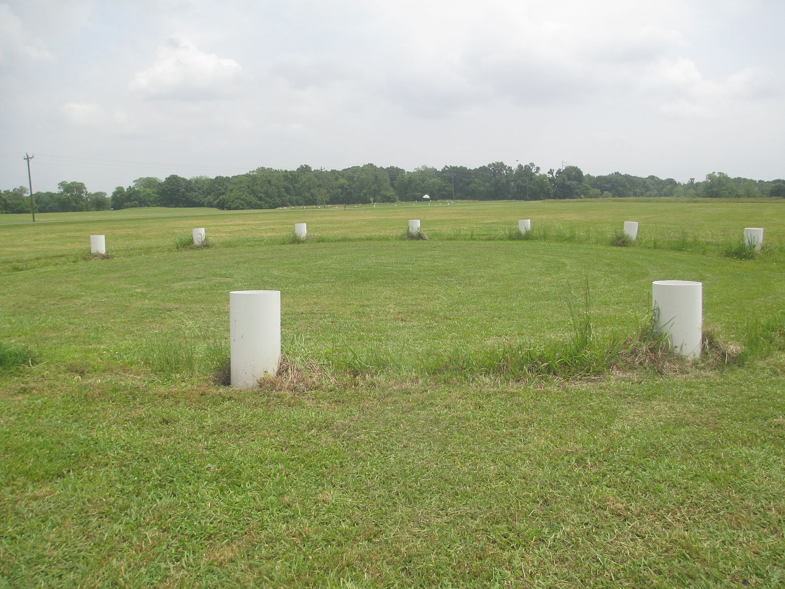 Timber rings at Poverty Point marked by white pillars, discovered through ground-penetrating radar (GPR)
